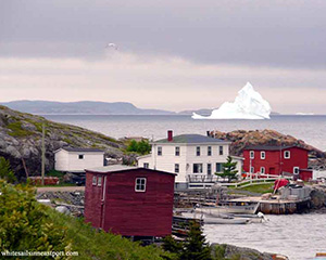 Icebergs at Salvage
