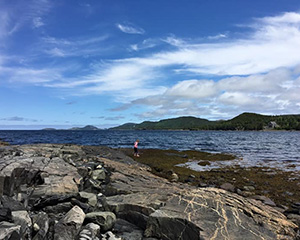 Exploring The Coastline