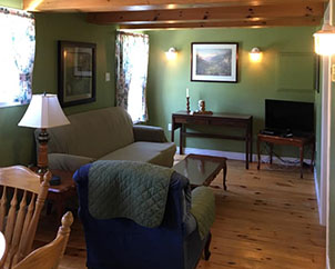 Cabin seven living room