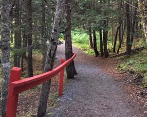 Crooked Tree Park walking trail