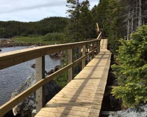 The Damnable Trail boardwalk