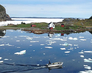 Sea ice in Salvage