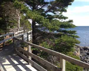 High Tide Trail boardwalk