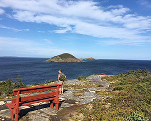 Old Harry Cove lookout