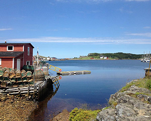 Town of Salvage