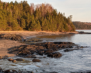 Seal Cove Beach water