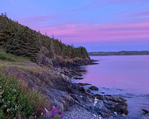 Coastline to Salvage