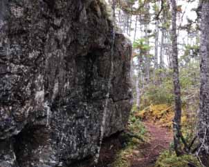 Old School House Trail