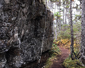 The Old School House Trail